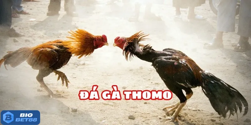 Cẩm nang lụm thưởng siêu mượt