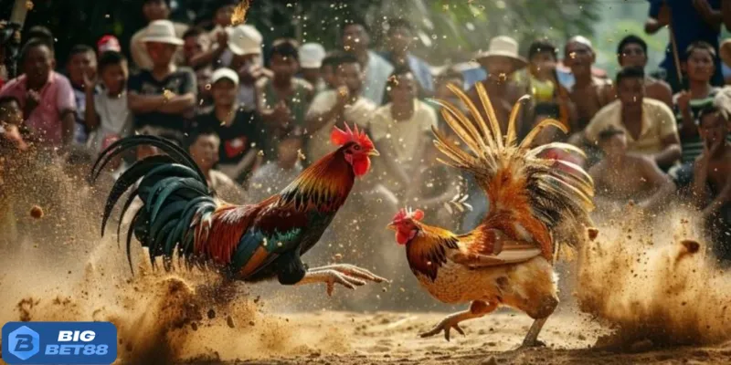 Diễn biến trận đấu có ảnh hưởng đến tỷ lệ kèo